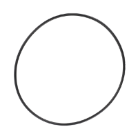 AGCO O-RING ACV0078660 Parts - True Ag & Turf