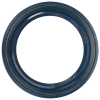 AGCO Radial Seal Ring, PTO Drive 3619342M1 Parts - True Ag & Turf