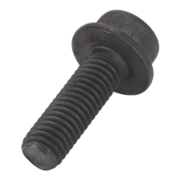 AGCO HEX SOCKET SCREW V588704620 Parts - True Ag & Turf