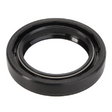 AGCO Oil Seal 4365895M1 Parts - True Ag & Turf
