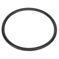 AGCO O-RING 72098725 Parts - True Ag & Turf