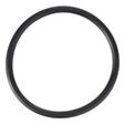 AGCO O-Ring, Ipto 3814821M1 Parts - True Ag & Turf