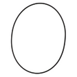 AGCO O-RING AG723988 Parts - True Ag & Turf