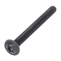 AGCO TORX SCREW ACX2339980