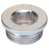 AGCO PLUG 72256156 Parts - True Ag & Turf