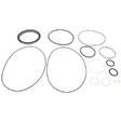 AGCO WHEEL MOTOR SEAL KIT AG712304 Parts - True Ag & Turf