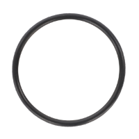 AGCO O-Ring, Steering Cylinder 1884795M1 Parts - True Ag & Turf