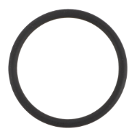 AGCO O-RING ACP0676970 Parts - True Ag & Turf