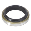 AGCO Seal Kit 3606375M1 Parts - True Ag & Turf