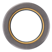 AGCO Radial Seal Ring 3019957X1 Parts - True Ag & Turf