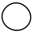 AGCO O-RING 72275941 Parts - True Ag & Turf