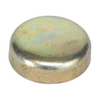 AGCO PLUG 72256134 Parts - True Ag & Turf