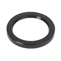 AGCO RADIAL SEALING RING 1441258X1 Parts - True Ag & Turf