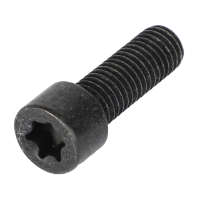 AGCO TORX HEAD SCREW ACW5246500