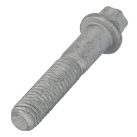 AGCO TORX SCREW 72434816