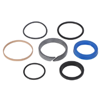 AGCO SEALS KIT 3443960M91 Parts - True Ag & Turf