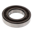 AGCO CYLINDER ROLLER BEARING 72421446 Parts - True Ag & Turf