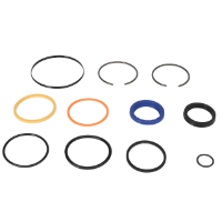 AGCO Seal Kit ACP0068100 Parts - True Ag & Turf