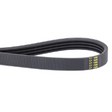AGCO BELT 567109D1 Parts - True Ag & Turf