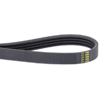AGCO BELT 567109D1 Parts - True Ag & Turf