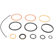 AGCO Seal Kit 700723477 Parts - True Ag & Turf