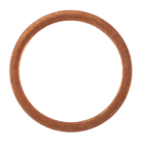 AGCO SEALING RING 3010774X1 Parts - True Ag & Turf