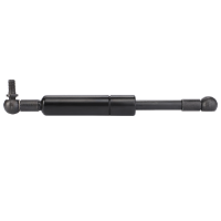 AGCO Gas Strut, Chassis 72484117 Parts - True Ag & Turf