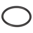 AGCO O-RING 7064870M1 Parts - True Ag & Turf