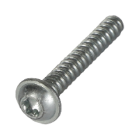 AGCO SCREW 72454330 Parts - True Ag & Turf