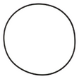 AGCO O-RING ACP0442440 Parts - True Ag & Turf