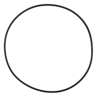 AGCO O-RING ACP0442440 Parts - True Ag & Turf