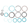 AGCO Seal Kit, Steering Cylinder 72417176 Parts - True Ag & Turf