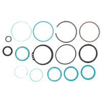 AGCO Seal Kit, Steering Cylinder 72417176 Parts - True Ag & Turf