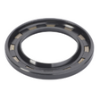 AGCO Oil Seal 3606885M1 Parts - True Ag & Turf