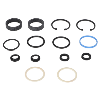 AGCO SEALS KIT 700718877 Parts - True Ag & Turf