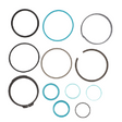AGCO Seal Kit, Hydraulic Cylinder 72605789 Parts - True Ag & Turf