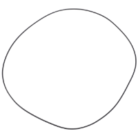 AGCO O-Ring 3010465X1 Parts - True Ag & Turf
