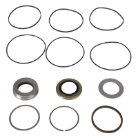 AGCO SEALS KIT 71398130 Parts - True Ag & Turf