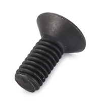 AGCO SCREW VA020480 Parts - True Ag & Turf