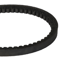 AGCO BELT 1614371V1 Parts - True Ag & Turf