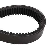 AGCO Cylinder Belt 832873V1 Parts - True Ag & Turf