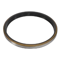 AGCO SCRAPER RING 3010843X1 Parts - True Ag & Turf