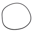 AGCO O-RING ACP0673580 Parts - True Ag & Turf