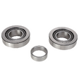 AGCO Tapered Roller Bearing Assembly 30-3214613 Parts - True Ag & Turf