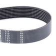 AGCO Serpentine Belt, PK8 Profile 4275520M1 Parts - True Ag & Turf