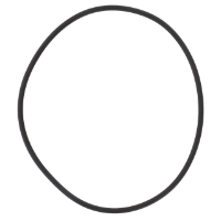 AGCO O-RING 4227214M1 Parts - True Ag & Turf