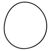 AGCO GASKET 9967061 Parts - True Ag & Turf