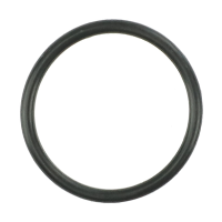 AGCO O-RING AG519377 Parts - True Ag & Turf