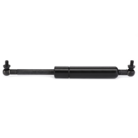 AGCO Gas Strut, Chassis 72474390 Parts - True Ag & Turf