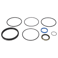 AGCO SEAL KIT 700723342 Parts - True Ag & Turf